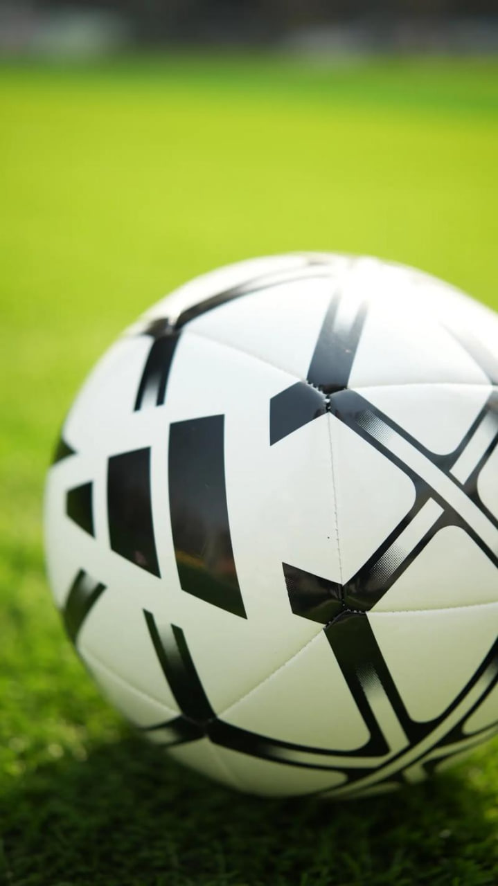 专家分析数据展示